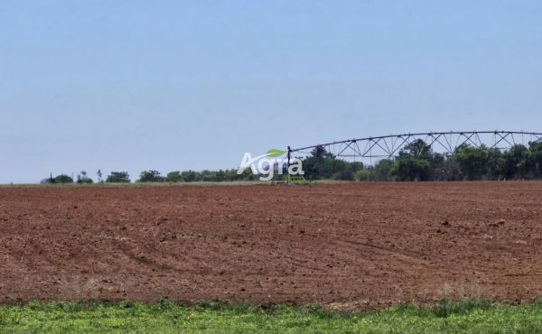 Petronella 120ha