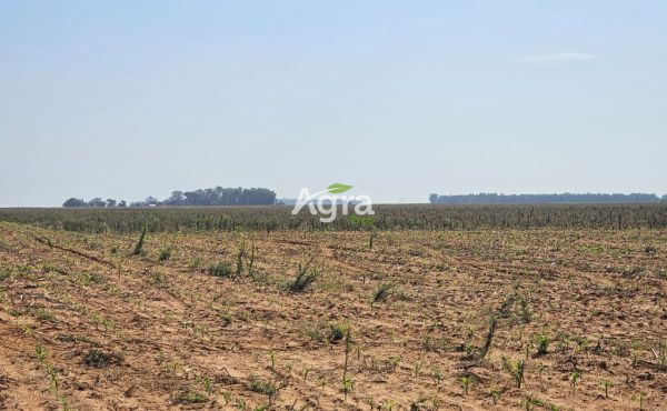 Bultfontein 94Ha